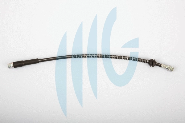 Brake Hose (02020166)
