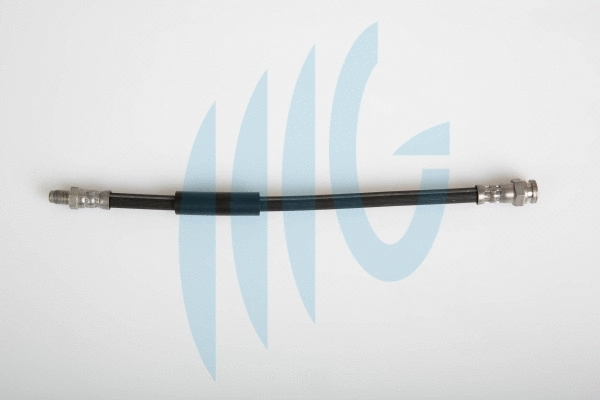 Brake Hose (02120249)