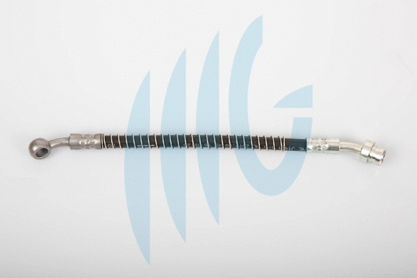 Brake Hose (02160873)