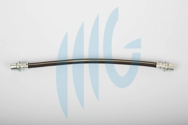 Brake Hose (02510957)