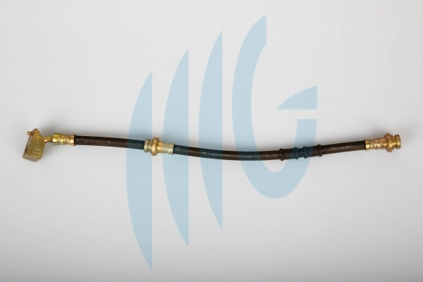 Brake Hose (02100737)
