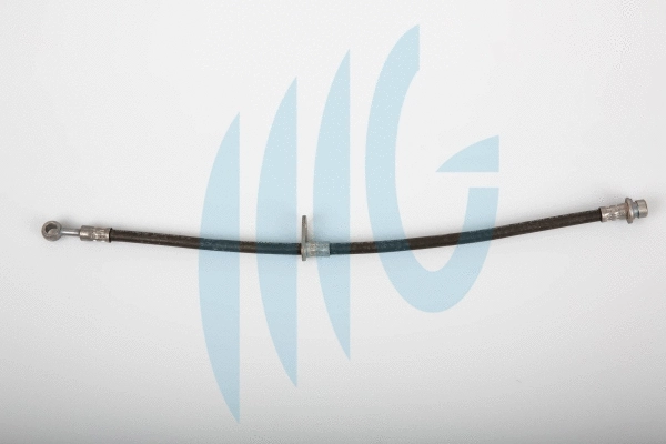 Brake Hose (02180868)