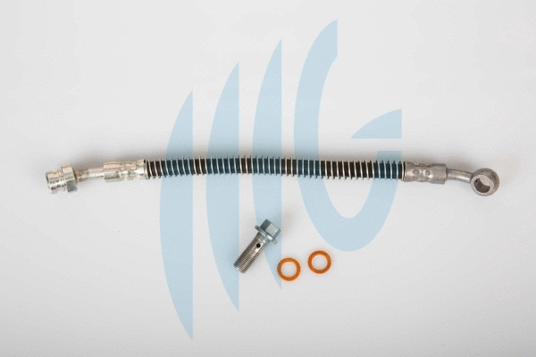 Brake Hose (02160889)
