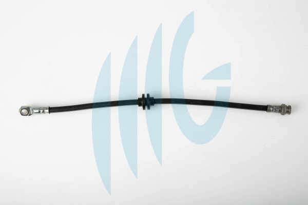 Brake Hose (02260374)