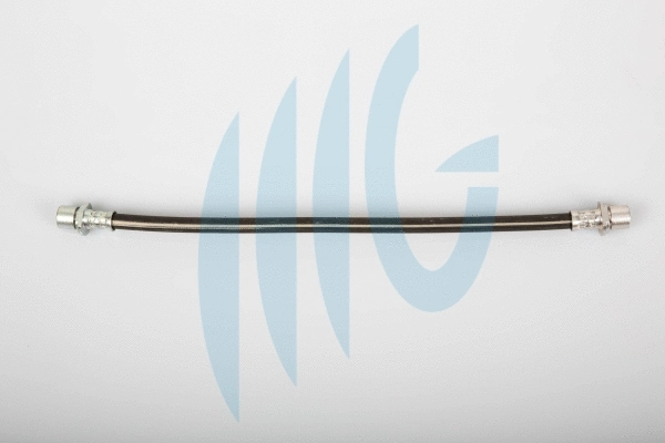 Brake Hose (02101108)