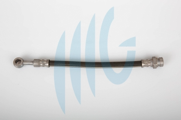 Brake Hose (02160844)