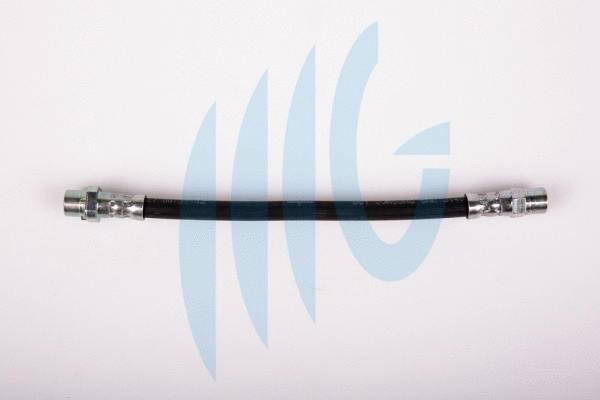 Brake Hose (02040242)
