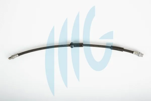 Brake Hose (02040289)