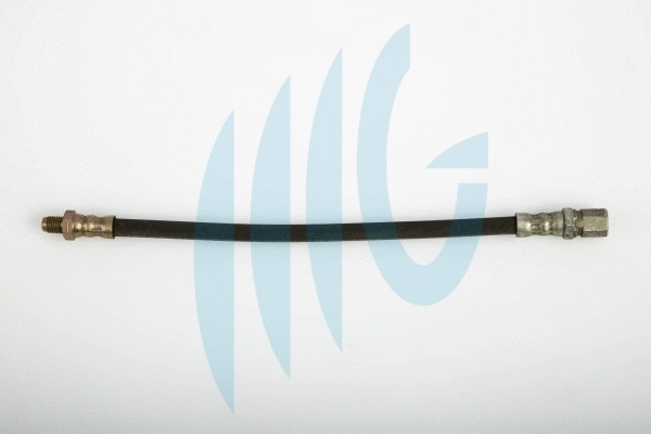 Brake Hose (02120128)