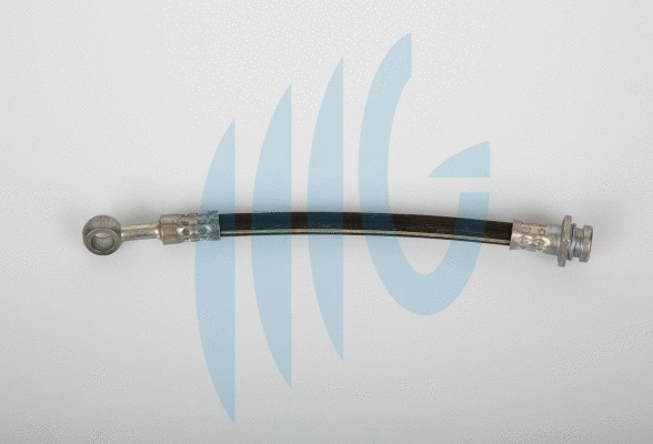 Brake Hose (02520967)