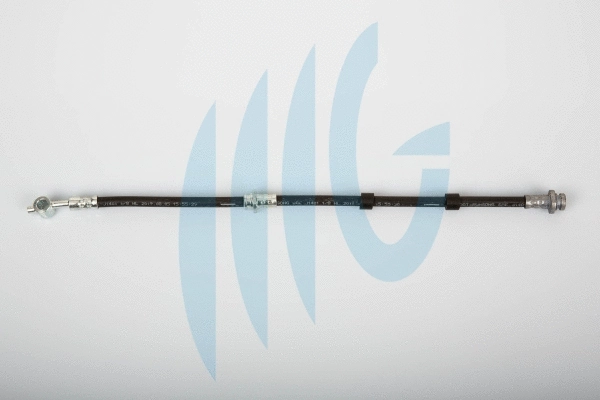 Brake Hose (02101085)