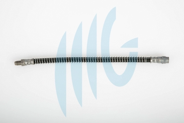 Brake Hose (02101130)