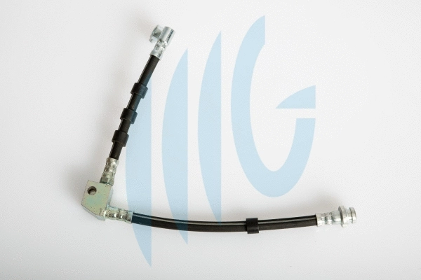 Brake Hose (02100786)