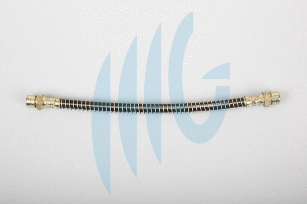 Brake Hose (02510933)