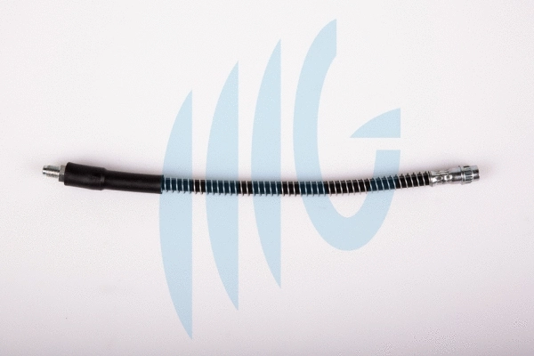 Brake Hose (02440606)