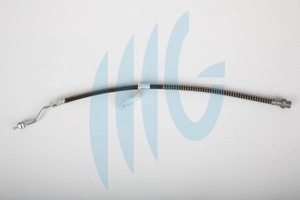Brake Hose (02160956)
