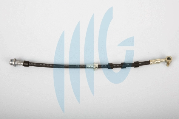 Brake Hose (02101104)