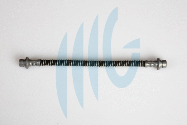 Brake Hose (02280442)