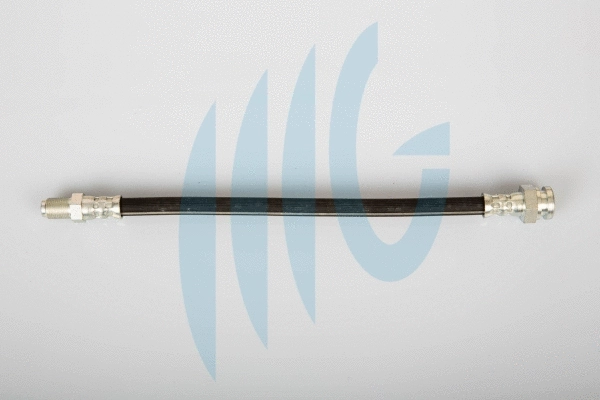 Brake Hose (02480920)