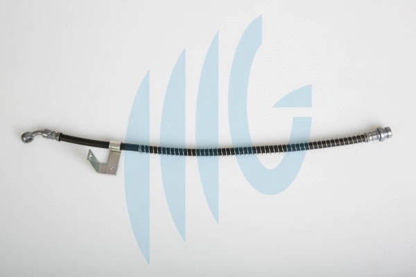 Brake Hose (02160855)