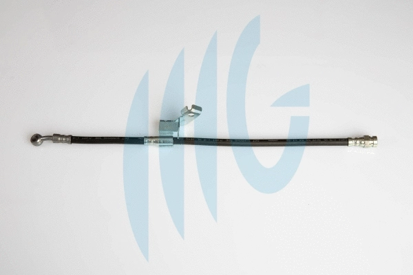 Brake Hose (02160911)