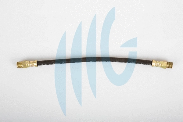 Brake Hose (02120195)