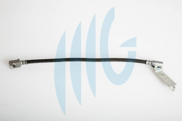 Brake Hose (02140396)
