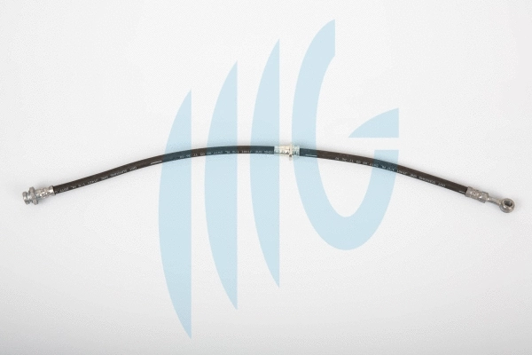 Brake Hose (02101075)