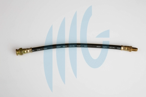 Brake Hose (02500621)