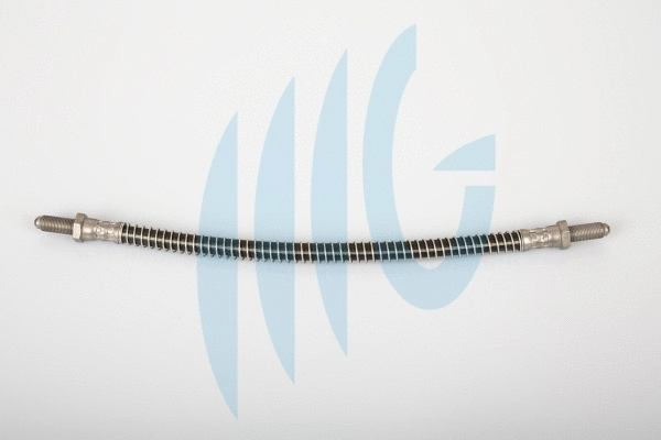 Brake Hose (02280391)