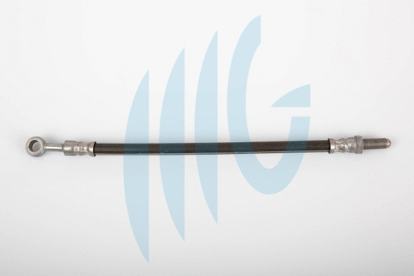 Brake Hose (02520954)