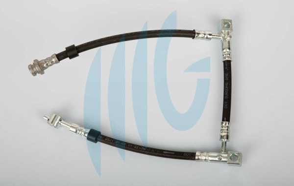 Brake Hose (02101169)