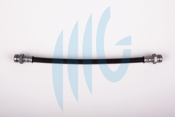 Brake Hose (02440546)