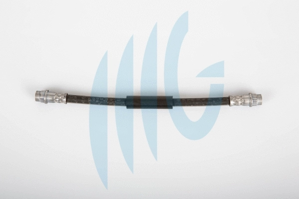 Brake Hose (02120271)