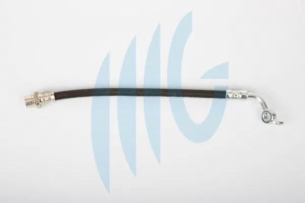 Brake Hose (02561163)
