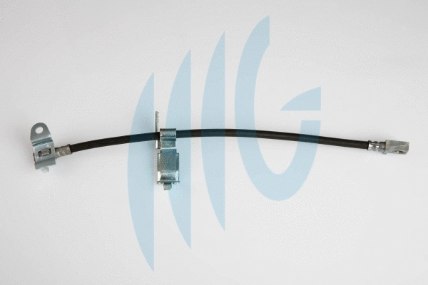 Brake Hose (02140394)