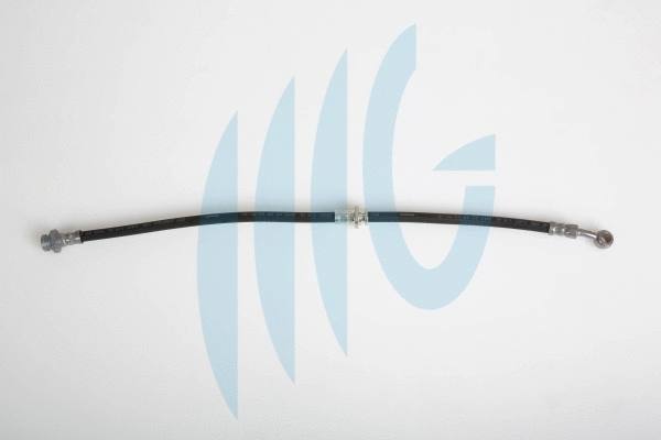 Brake Hose (02100787)
