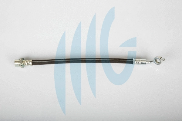 Brake Hose (02561158)