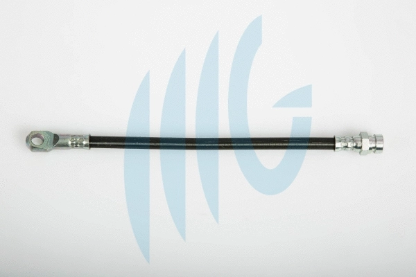 Brake Hose (02120124)