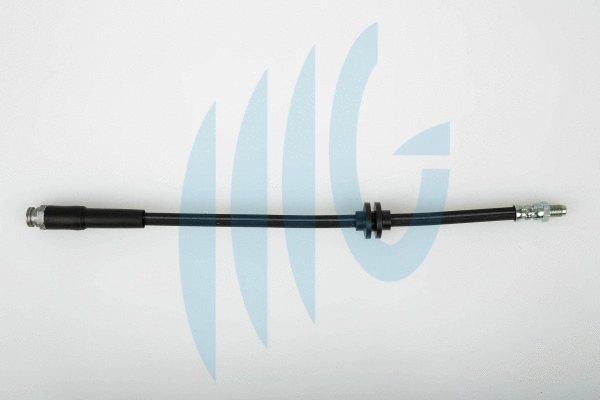 Brake Hose (02060310)