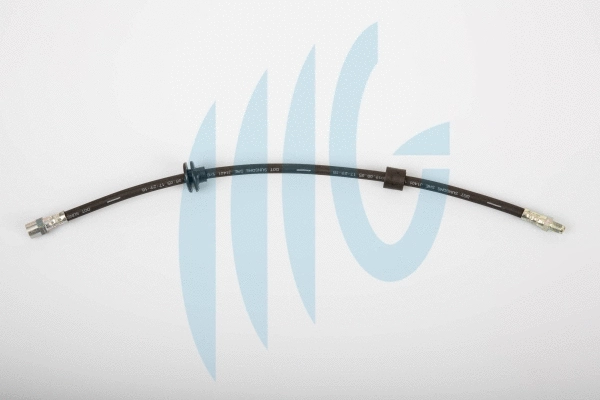 Brake Hose (02080459)