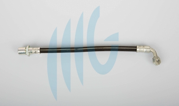 Brake Hose (02561064)