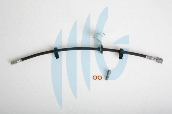 Brake Hose (02080451)