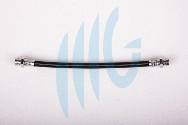 Brake Hose (02320894)