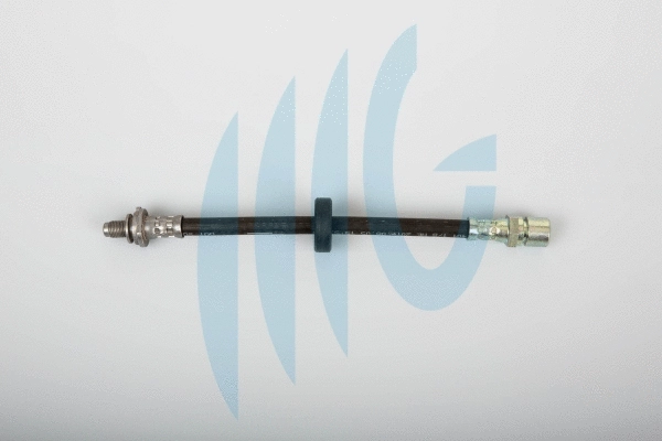 Brake Hose (02460611)