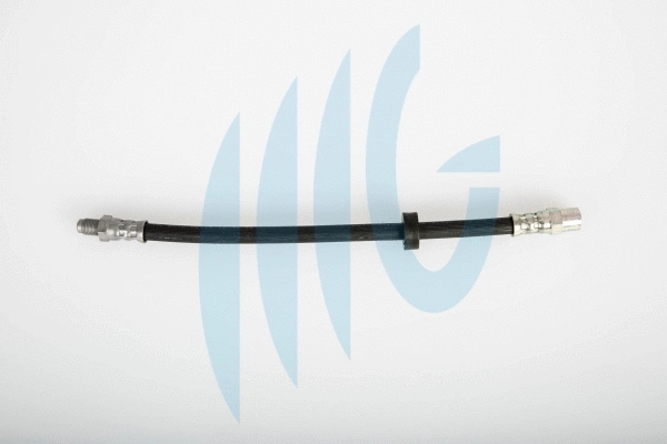 Brake Hose (02620674)