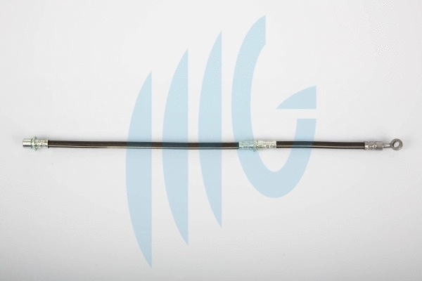 Brake Hose (02510949)