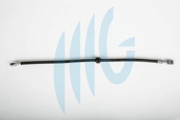 Brake Hose (02040252)