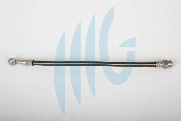 Brake Hose (02160941)