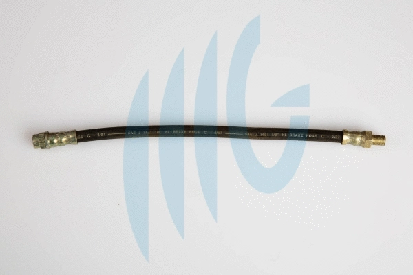 Brake Hose (02220348)
